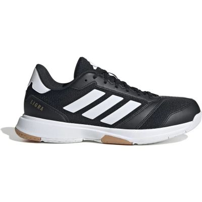 Herren Handballschuhe Ligra 8 Indoor in grau
