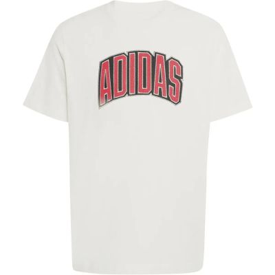 Herren Shirt STADIUM COLLEGIATE GRAPHIC in weiß