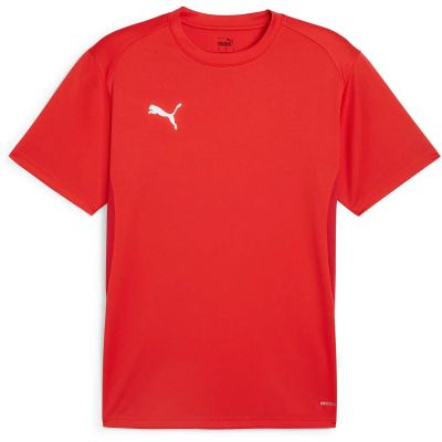 Herren Shirt teamGOAL Jersey in rot