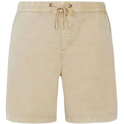 Herren Shorts PRTNivel in grau