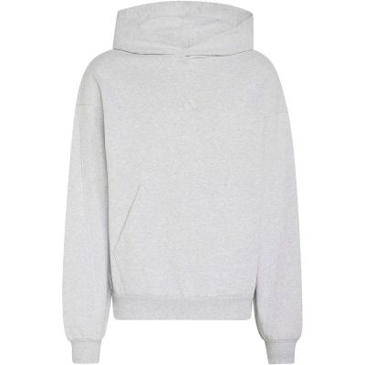 Herren Kapuzensweat AUSRÜSTUNGKLEINES LOGO in grau