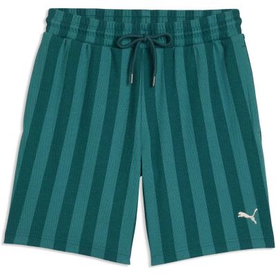 Herren Shorts CLASS 8 Shorts in grün