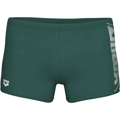 Badehose BRIGHT GLARE SWIM SHORT in grün
