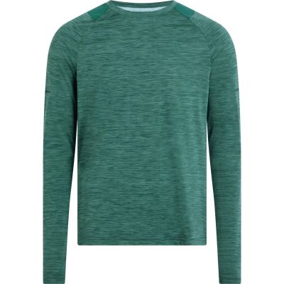 Herren Langarmshirt Ailo LS M in grau