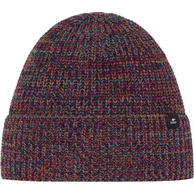 Herren Mütze SWELL in bunt