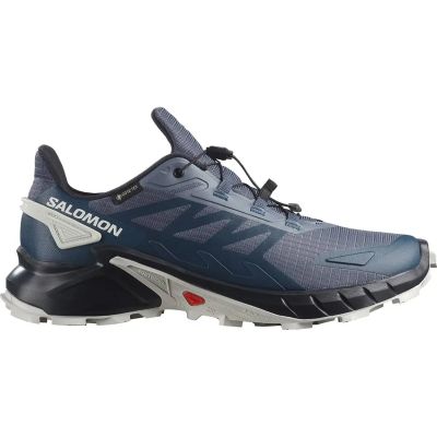 Herren Trailrunningschuhe SUPERCROSS 4 GTX Grisai/Dark N/Spe in grau