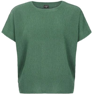Damen Shirt PRTLouas in grau