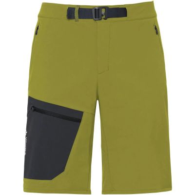 Herren Hose Me Badile Shorts II in grün