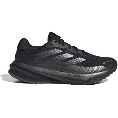 Herren Laufschuhe Supernova GORE-TEX in grau