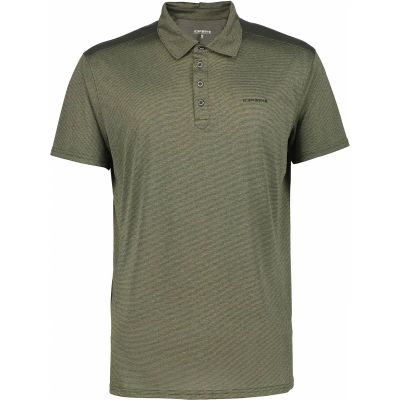 Herren Polo BRIDGTON in grün