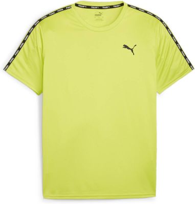 PUMA Herren Shirt Puma Fit Taped Tee in grün