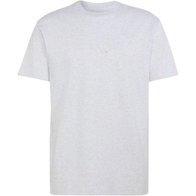 Herren Shirt AUSRÜSTUNGKLEINES LOGO (normal & lang) in grau