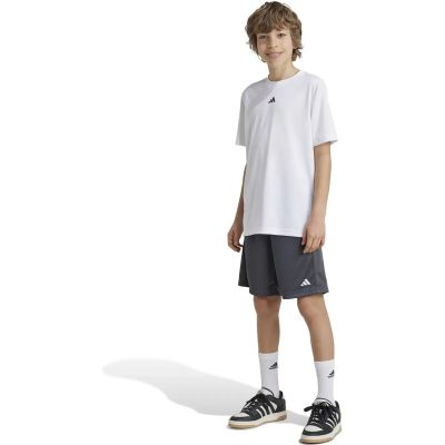 Kinder Shorts Train Essentials Logo Regular Fit Kids in grau