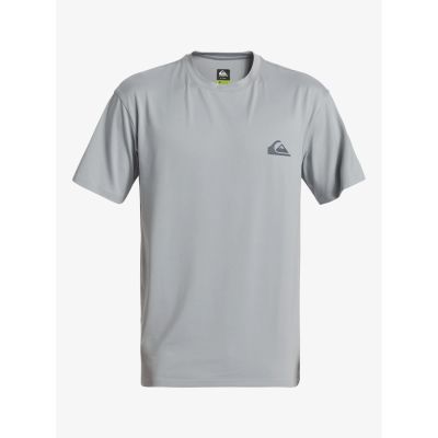 SURF TEE SS SFSH in grau