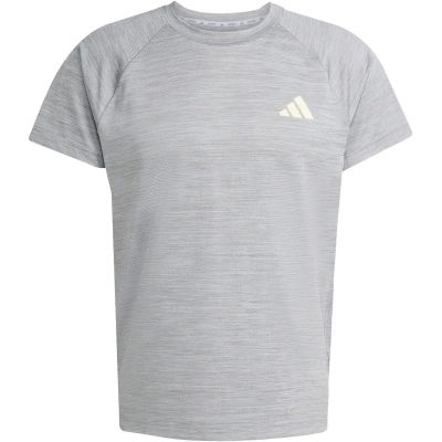 Herren Shirt Gym+ in silber