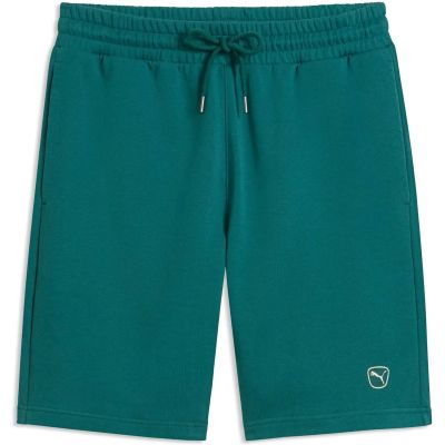 Herren Shorts ESS ELEVATED Shorts 9 TR in blau