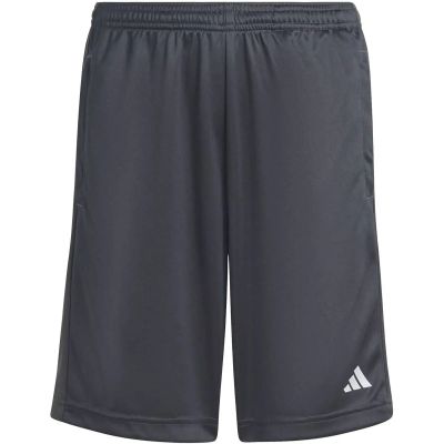 Kinder Shorts Train Essentials Logo Regular Fit Kids in grau