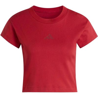 Damen Shirt Future Icons Small Logo Baby in rot