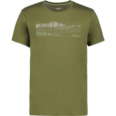 Herren Shirt BEEVILLE in grün