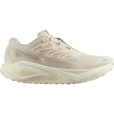 Damen Laufschuhe SHOES AERO BLAZE 3 GRVL W Vanila/Vanila in grau