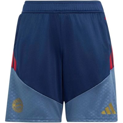 Kinder Teamhose FC Bayern 26/27 Training in blau
