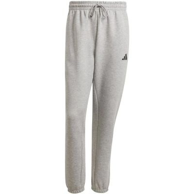 Herren Hose Future Icons Small Logo in silber