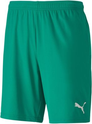 PUMA Herren Shorts teamGOAL 23 knit in grün