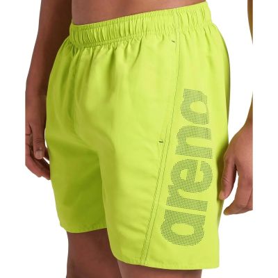 Herren Badeshorts FUNDAMENTALS LOGO BOXER in grün