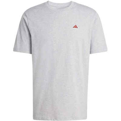 Herren Shirt COLOR ICON GRAFIK in grau