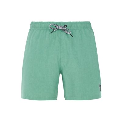 DAVEY beachshort in grün