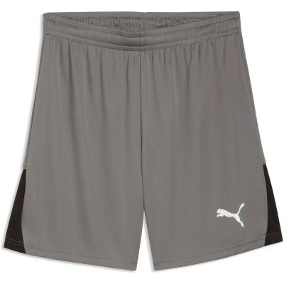 Herren Shorts teamLIGA26 Shorts in grau