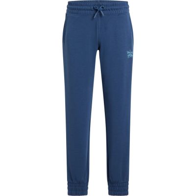 Mä.-Hose Louna IV FT G 511 128 in blau