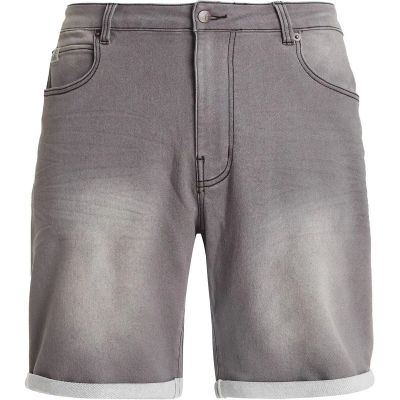 PROTEST Herren Shorts PRTTANOT shorts in grau