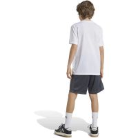 Vorschau: Kinder Shorts Train Essentials Logo Regular Fit Kids in grau Vorschau: Kinder Shorts Train Essentials Logo Regular Fit Kids in grau