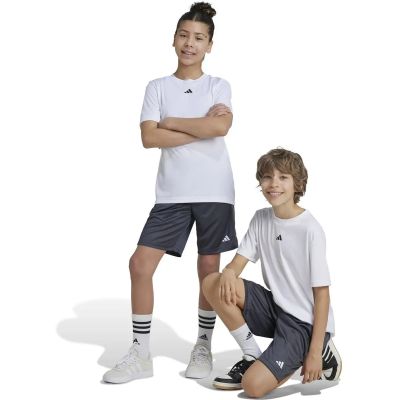 Kinder Shorts Train Essentials Logo Regular Fit Kids in grau