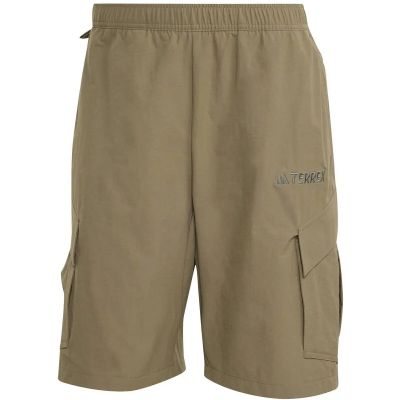 Herren Shorts Terrex Xploric in grau