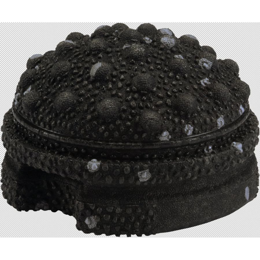 Blackroll Faszienball Twister