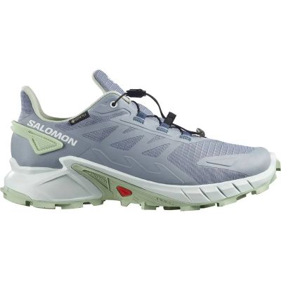 Damen Trailrunningschuhe SUPERCROSS 4 GTX W Trade in grau