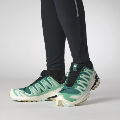 XA PRO 3D V9 GORE-TEX in grÜn