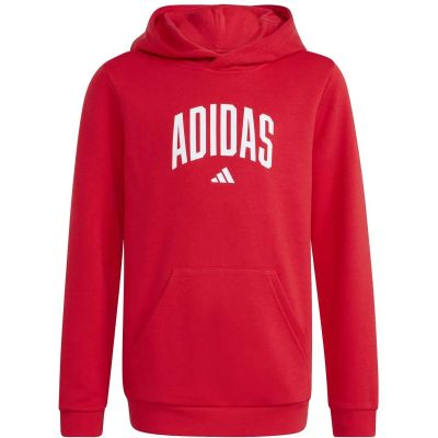 Kinder Kapuzensweat CODES COLLEGIATE GRAFIK in rot