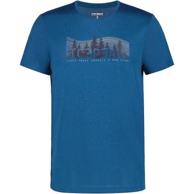 Herren Shirt BEARDEN in blau