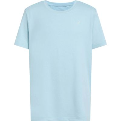 Kinder Shirt Ju.-T-Shirt Tibo B in grau