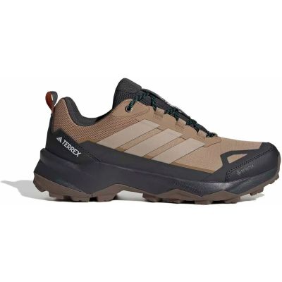 Herren Multifunktionsschuhe TERREX SKYCHASER AX5 GTX in grau