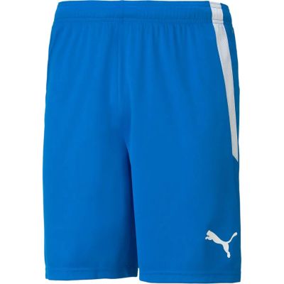 PUMA Herren Shorts teamLIGA Shorts in blau