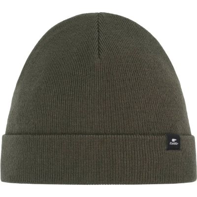 Herren Mütze SKATER 2.0 in grün 