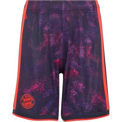 Kinder Teamhose FC Bayern 26/27 Third in bunt