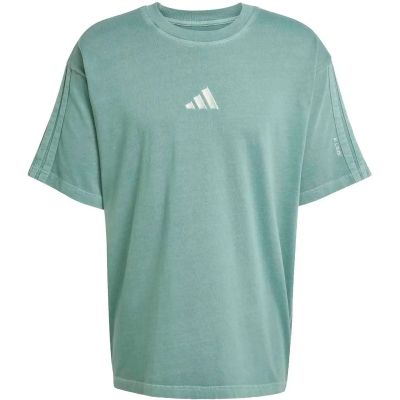 Herren Shirt ALL SZN Washed in grau
