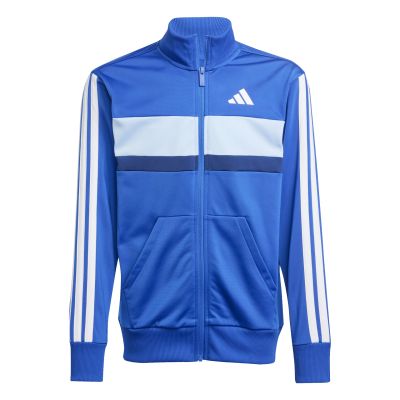 J 3S TIBERIO TS in royblu/white/globlu