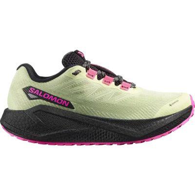 Damen Laufschuhe SHOES AERO BLAZE 3 GRVL GTX W Buttrf/Bla in grau