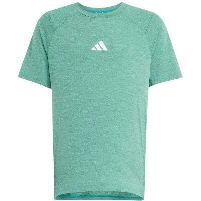 Kinder Shirt All Sports Favorite in grün